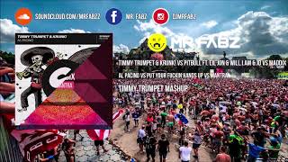 Al Pacino vs Put Your Fuckin Hands Up vs Mantra - Timmy Trumpet & vs Maddix (Timmy Trumpet Mashup)