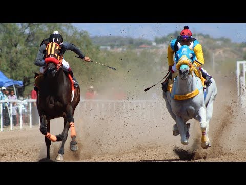 Ver carreras de caballos 2019