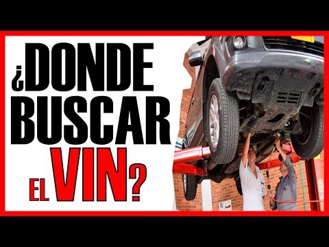 ᐅ ¿DÓNDE se encuentra el número de chasis o VIN de un auto? ᐊ 【¡3 LUGARES FIJOS en TODO vehículo!】