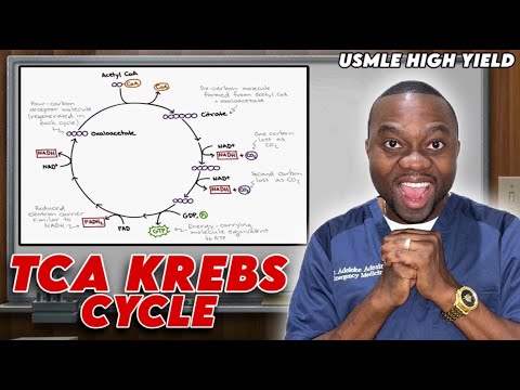 TCA Cycle | Citric Acid Cycle Made Simple (USMLE)