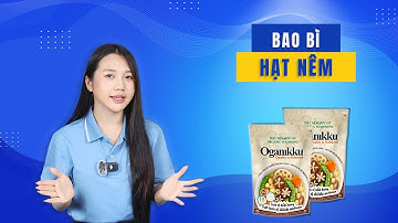 Bao Bì Đựng Hạt Nêm – Thiết Kế Hiện Đại, Giá Xưởng Cạnh Tranh | Vinpack