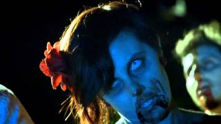 We May Fall  - I Thought You Were Dead - Official Music Video