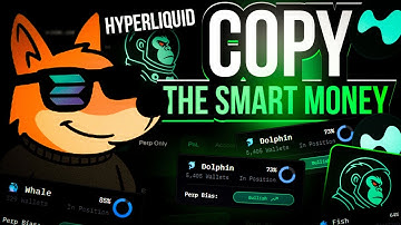 How to Copy Trade Profitable Wallets on Hyperliquid (ApexLiquid Setup & Guide)