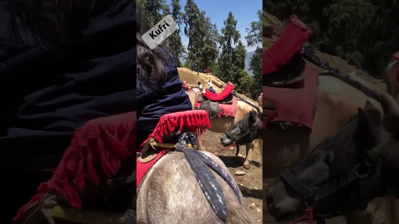 Kufri green valley, shimla 