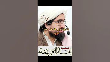 شیخ الاسلام شهید سعید رحیم الله حقانی تقبله الله 