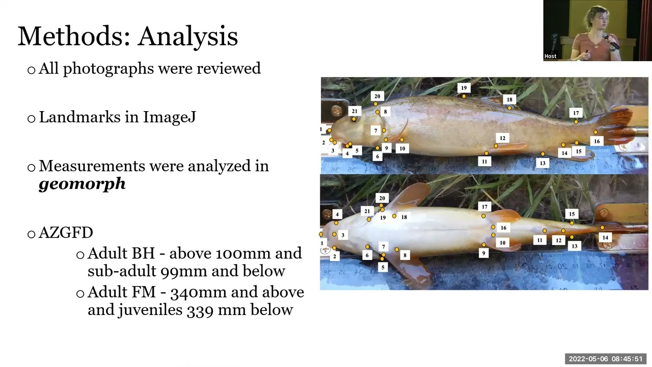 Species Conservation in the Face of Climate Change: Hurst, Williams, Smith