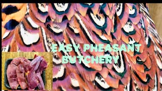 Easy Pheasant Butchery