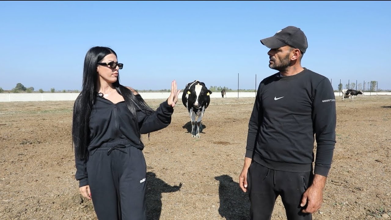 E dini pse quhet Hamil? Sepse aty hahet e milet gjithë ditën. 