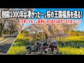 【福島バイク旅】樹齢1000年超えの滝桜が圧巻すぎた…。日本三大桜と呼ばれる神秘的な三春滝桜と満開の桜並木に感動し圧倒される1日。【HONDA Gold Wing/モトブログ】