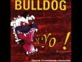 Bulldog - Falsa Identidad