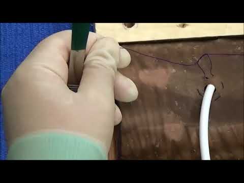 photo Chinese Finger Trap Suture Cat placement of drain in a model using a purse string and chinese finger trap