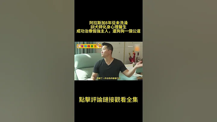 阿拉斯加8年从未洗澡，训犬师化身心理医生，成功治疗倔强主人，还狗狗一个公道 #汪星人 #动物 #狗 #萌宠 - 天天要闻