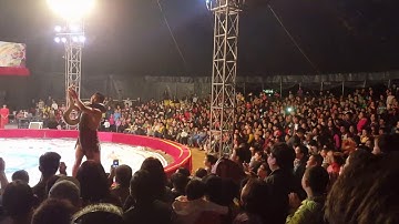 Xiếc trăn biểu diễn tại rạp bạt khổng lồ