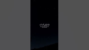 مقطع قصير للقارئ / الشيخ محمد الغزالي