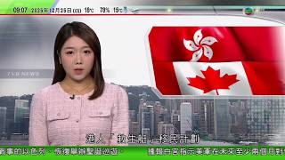 0900 無綫早晨新聞｜加拿大調整港人「救生艇」移民計劃 包括放寬計算工時規定｜日本最大核電廠柏崎刈羽核電廠下月重啟｜親美候選人當選洪都拉斯總統 外界關注上台後會否推動與台灣「復交」｜TVB News