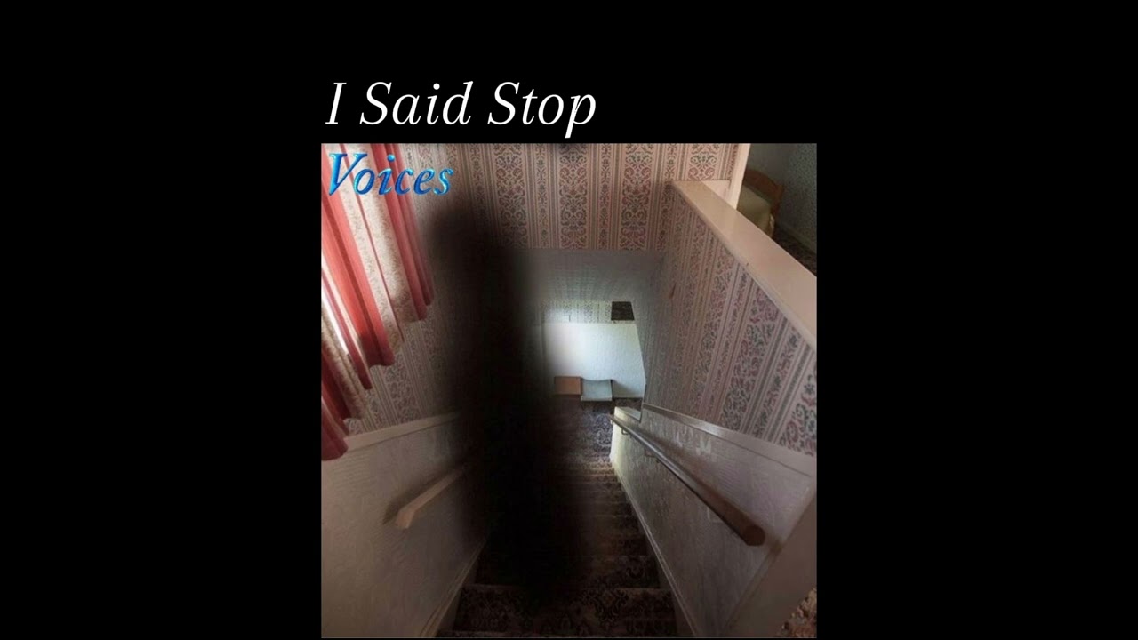 I Said Stop - Eliviah | Voices (Audio)