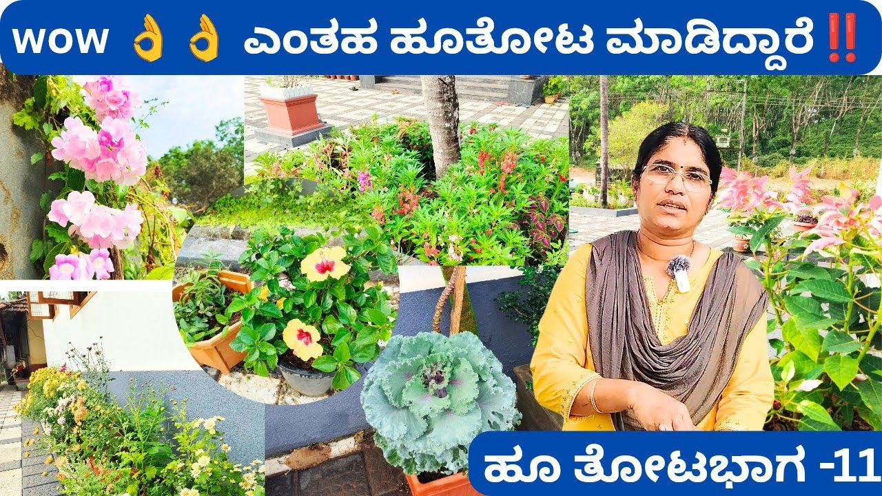 ವೃತ್ತಿಯಲ್ಲಿ ಇಂಜಿನಿಯರ್ ಪ್ರವೃತ್ತಿಯಲ್ಲಿ ಹೂದೋಟ‼️ಪುತ್ತೂರಿನ ಟಾಪ್ ಹೂತೋಟದಲ್ಲಿ ಇದು ಒಂದು⁉️best flower garden