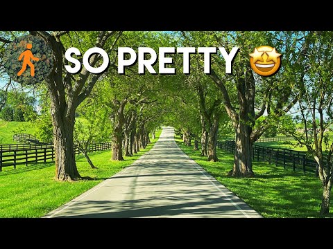 वीडियो: सुंदर और रोमांटिक ड्राइविंग रूट - वेस्टर्न यूएसए