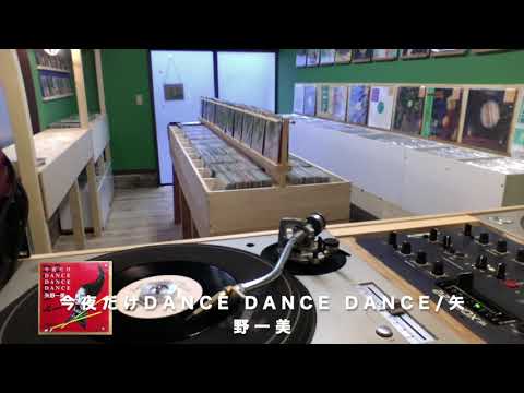 今夜だけDANCE DANCE DANCE/矢野一美