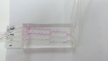 PDMS Microfluidic Device for 2-Channel Micromixer