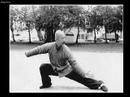 Guang Ping Yang Tai Chi Association (GPYTCA): 2006 Conference - YouTube