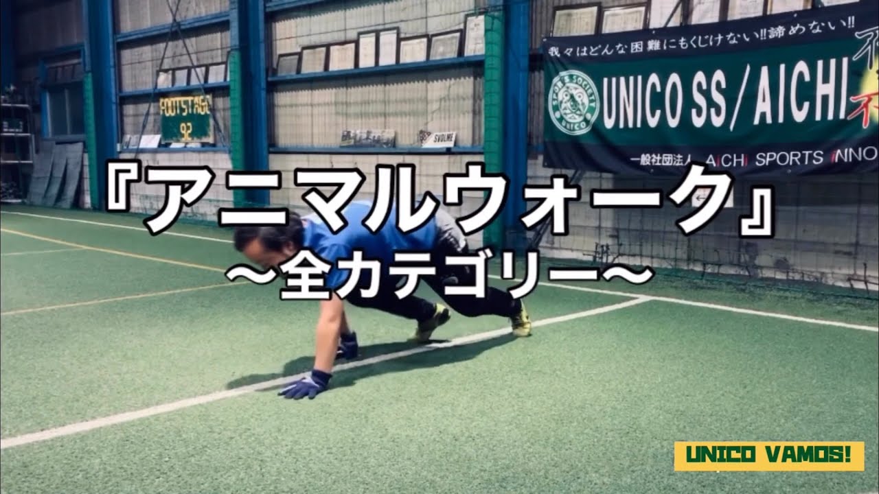 アニマルウォーク/全カテゴリー