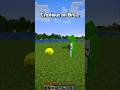 Minecraft Saving Verity...🤯