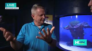 E Komo Mai to Maui Ocean Center (Part 1)
