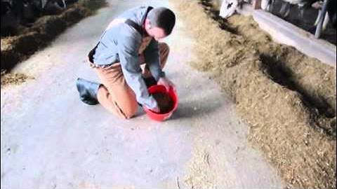 How to Collect a TMR Sample