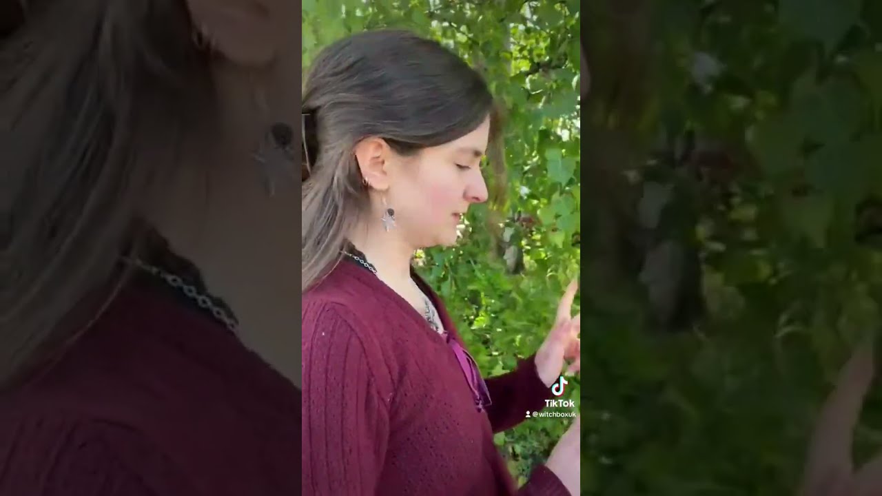 Why Witches Are Always Late Witchtok Witchcraft Comedyvideo Humor Witchy Witchlife