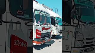 Buana Transindo Bengal Ft Basudewa