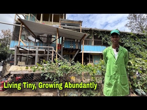 A 22-Year-Old Civil Engineering Student’s Genius Poultry Farming Idea — Perfect for Off-Grid Living!