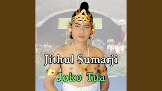 Joko Tua