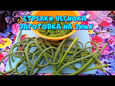 Стрелки чеснока - заготавливаем на зиму. Просто и полезно 🧄