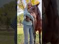 روز نمایش اسب Horseshow Horsecompetition Vlog Dayinmylife Trailhorse Westernstyle روز نمایش اسب Horseshow Horsecompetition Vlog Dayinmylife Trailhorse Westernstyle