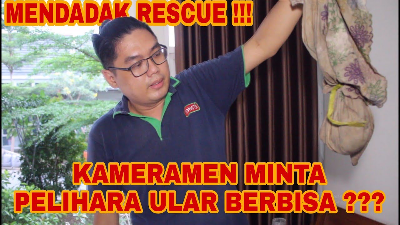 Orgazm bolgan ayollar ishtirokidagi onlayn porno Jinsiy qiynoqlar video