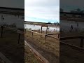 laguna de los patos Río Grande tierra del fuego antártida e islas del Atlántico Sur