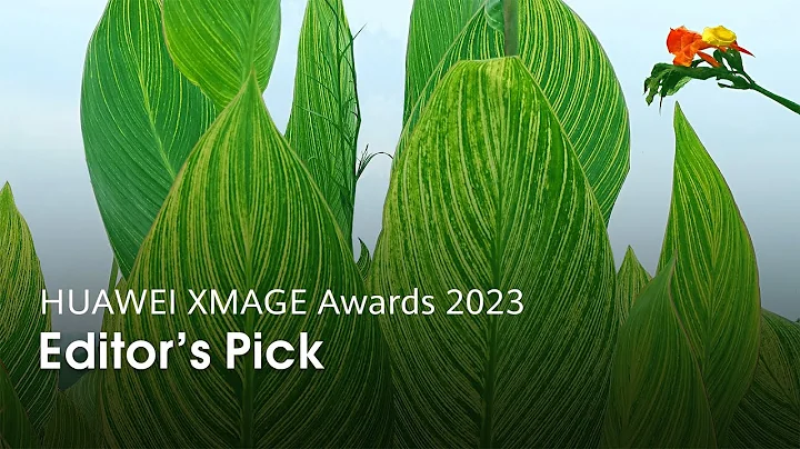 HUAWEI XMAGE Awards 2023: Editor's Pick - DayDayNews