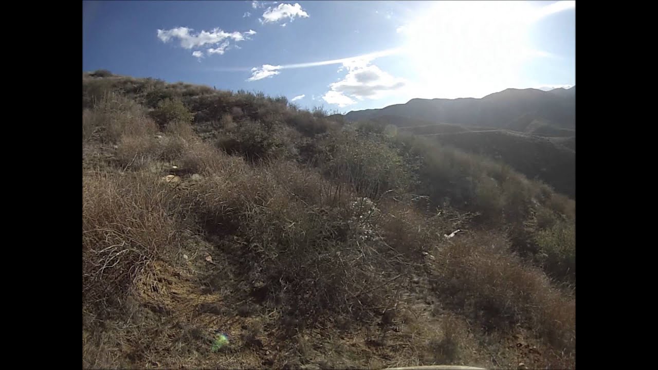 gopro quail hunt 