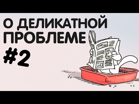 Кот мочится вам НА КРОВАТЬ. [2/2] Поговорим вновь о деликатной проблеме.