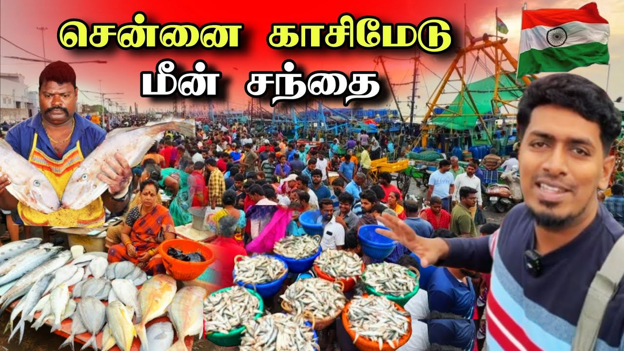 இப்படி ஒரு மீன் சந்தையை வாழ்க்கையில் பார்க்க மாட்டீர்கள் 🇮🇳😍🔥 | Kasimedu Fish Market 🐟