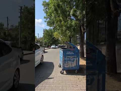 Vatandaşlar Endişeli; İnşallah o ağaçlarda kesilmez