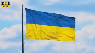 Великий державний прапор України в місті Харків. Звучить Запорозький марш