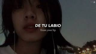 Alaina Castillo - Pocket Locket || Sub. español