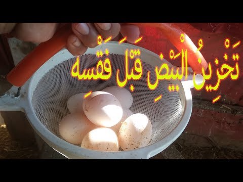 فيديو: كيفية تخزين بيض الدجاج