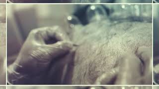 Mobile Hijama Service screenshot 5