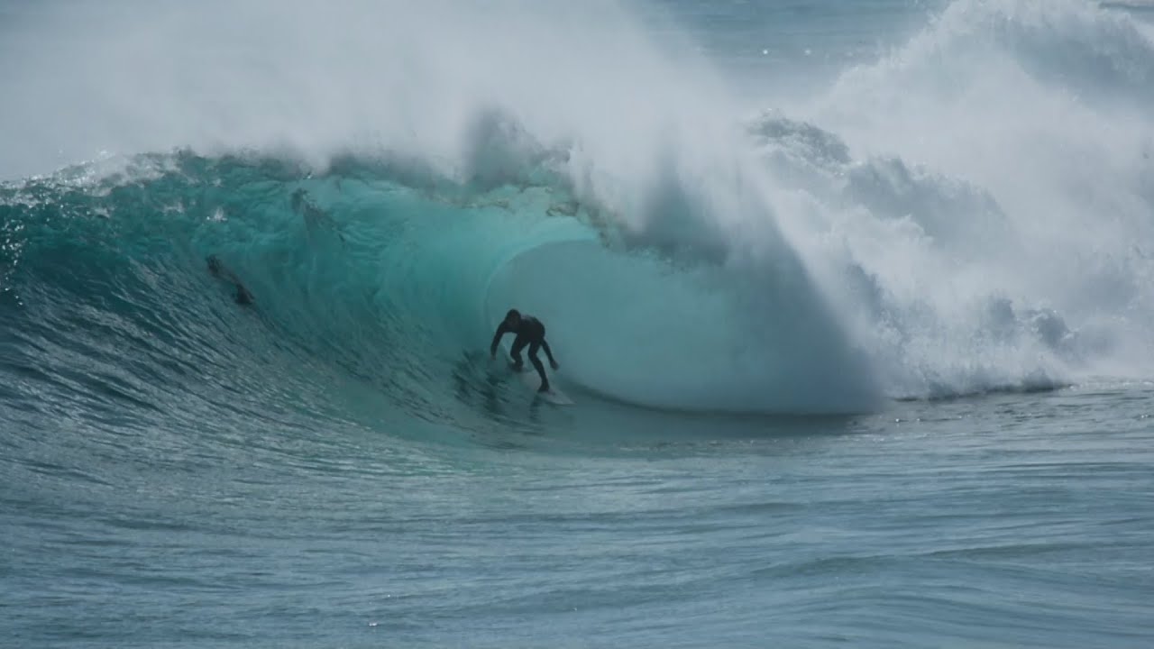 RAW CARNAGE !! RABBITS !!