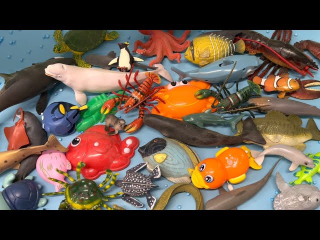 Nomeca Kids Aquarium Fish Tank Toy, Ocean Animals DIY Fantasy Toy Magic  Water Slime Paint Sea