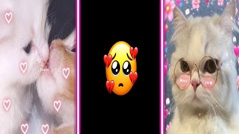 SANU AK PAL 🥺🥀 New Alight Motion Video Editing XML Preset #xml #alightmotion #preset