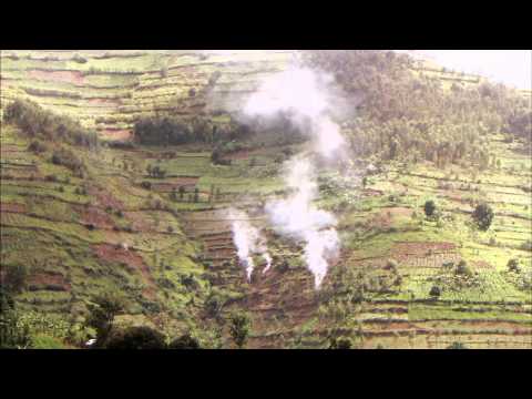 Rwanda Forests Of Hope 